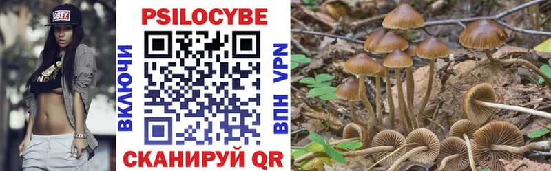 Галлюциногенные грибы GOLDEN TEACHER Новая Ладога