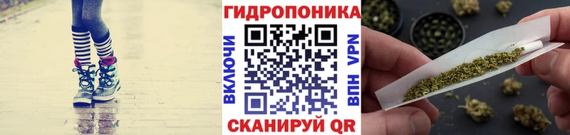 Бошки марихуана марихуана  наркота  ОМГ ОМГ ссылка  Новая Ладога 